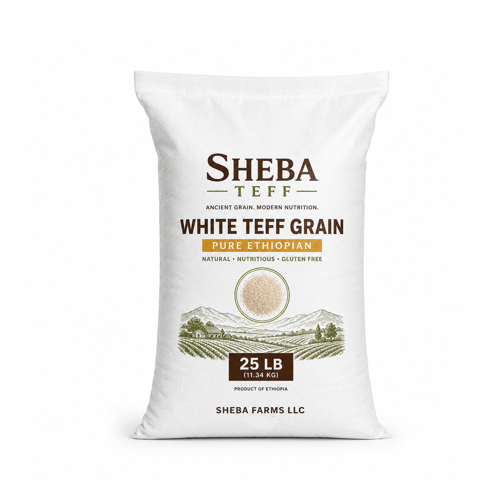 Sheba White Teff Grain 25lb PP Woven bag (Wholesale)